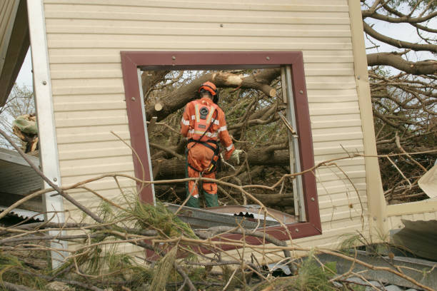 Professional Tree Care Services in Boonville, NC